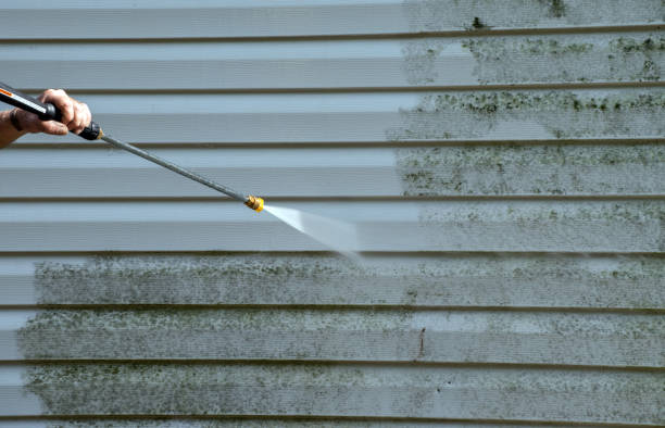Best Dumpster Area Cleaning  in Dillonvale, OH
